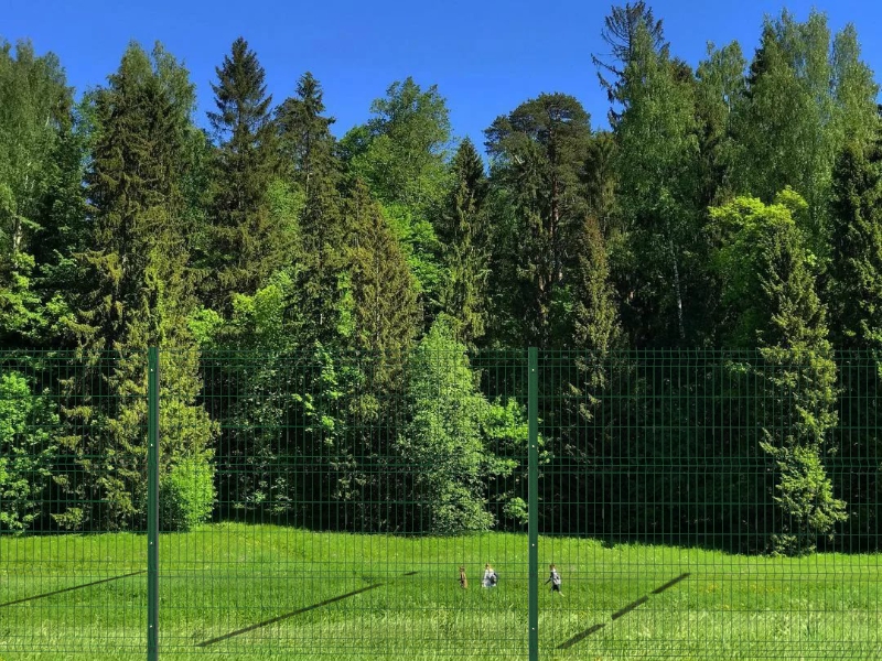 Забор для лесного массива