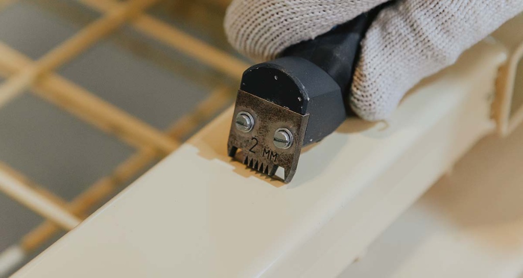 LAV_5217.jpg LAV_5217.jpg